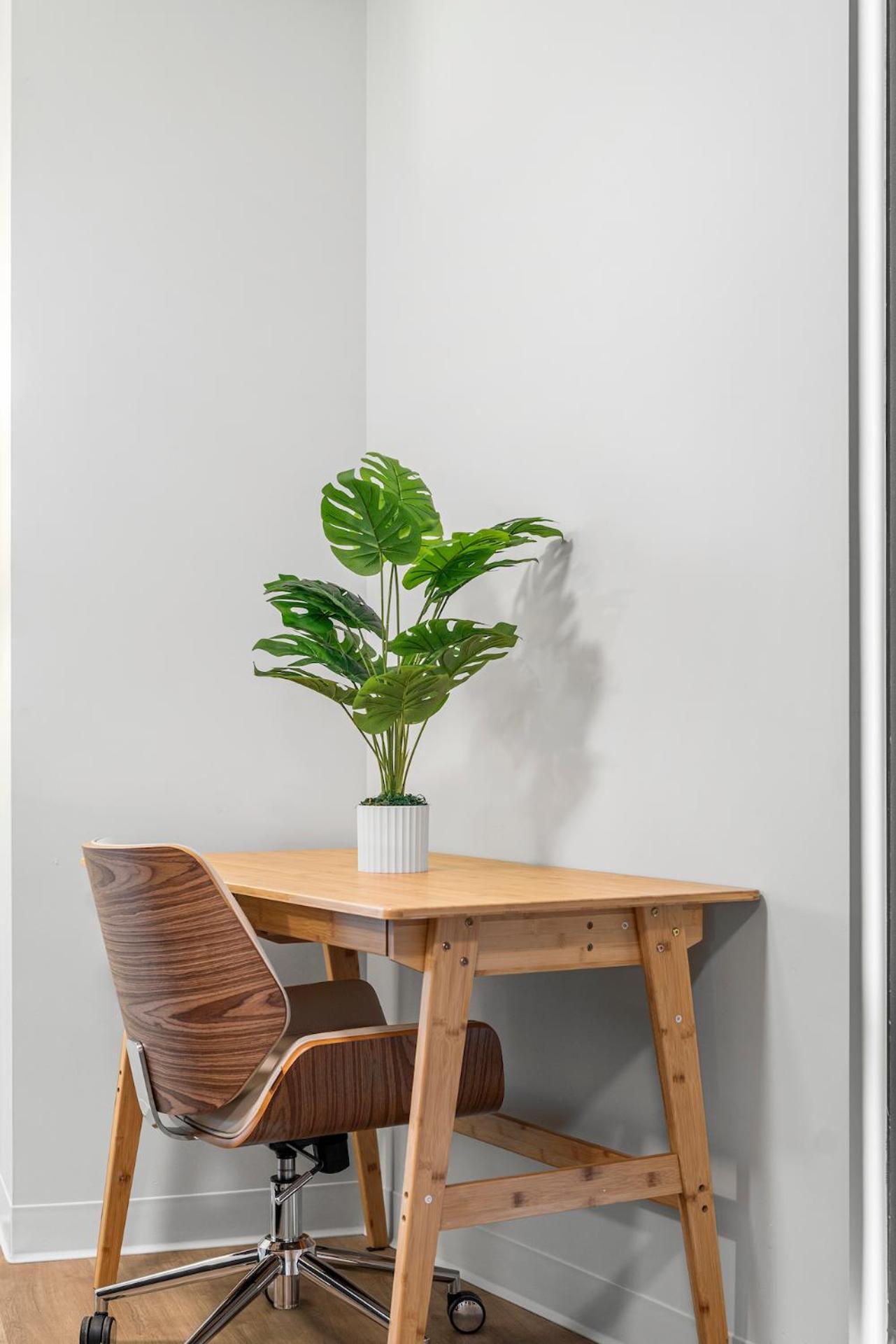 Furnished Luxury Apartment Next To Harvard Stadium Boston Exterior photo